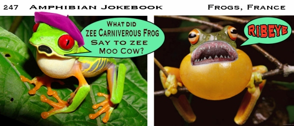 Amphibian joke book 5